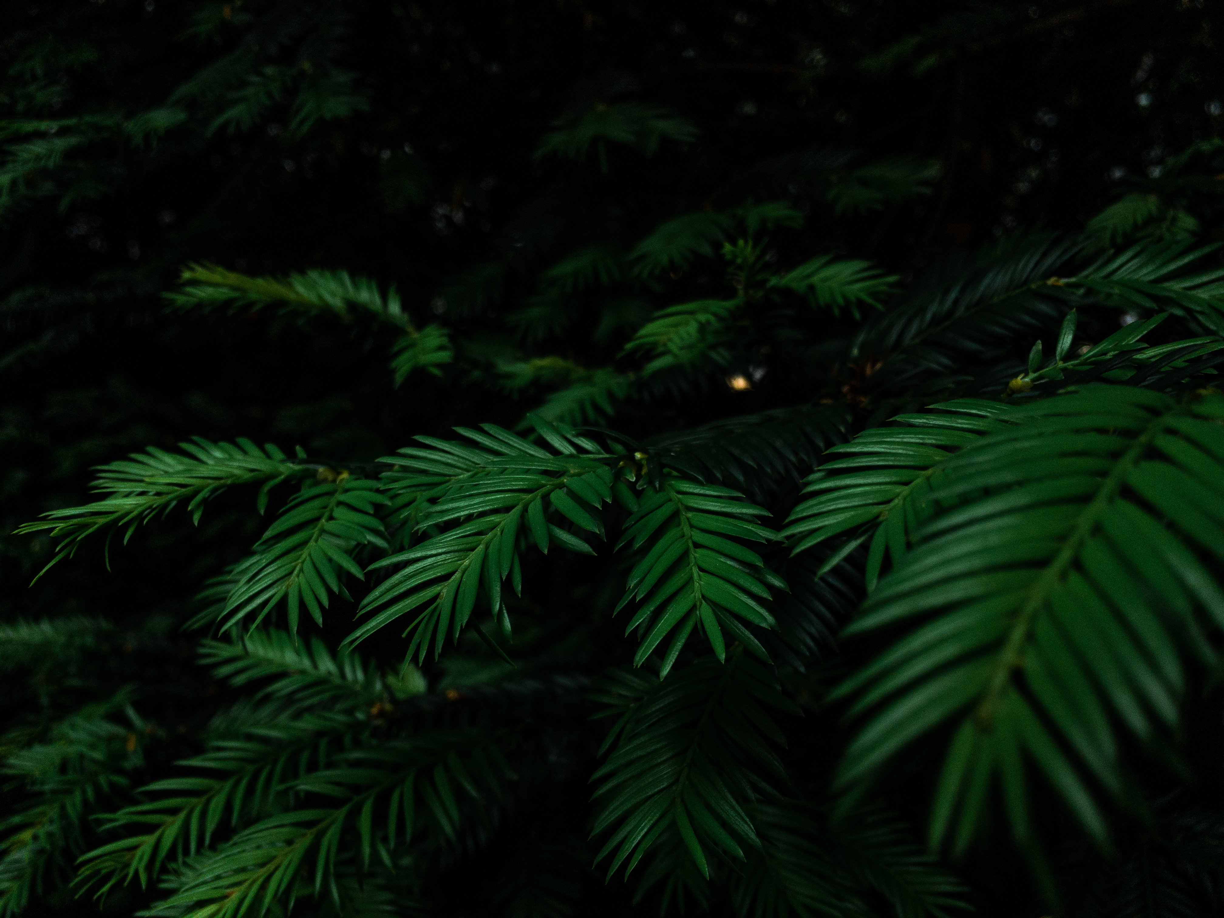 Personal Projects, Landscapes | Zürich | Switzerland - Federico Pedroletti